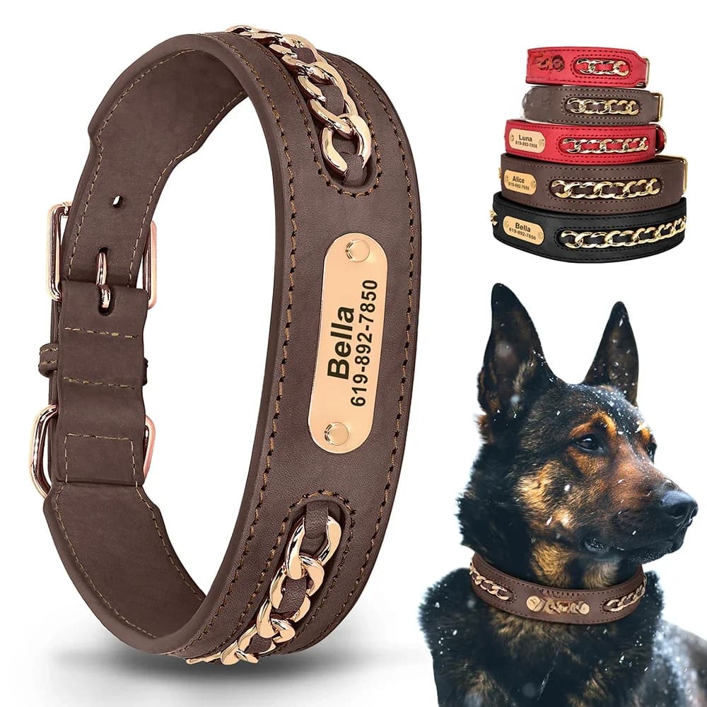 Accessoires de collier de chien en cuir personnalisés, étiquette d'identification personnalisée, colliers de plaque signalétique pour petits,