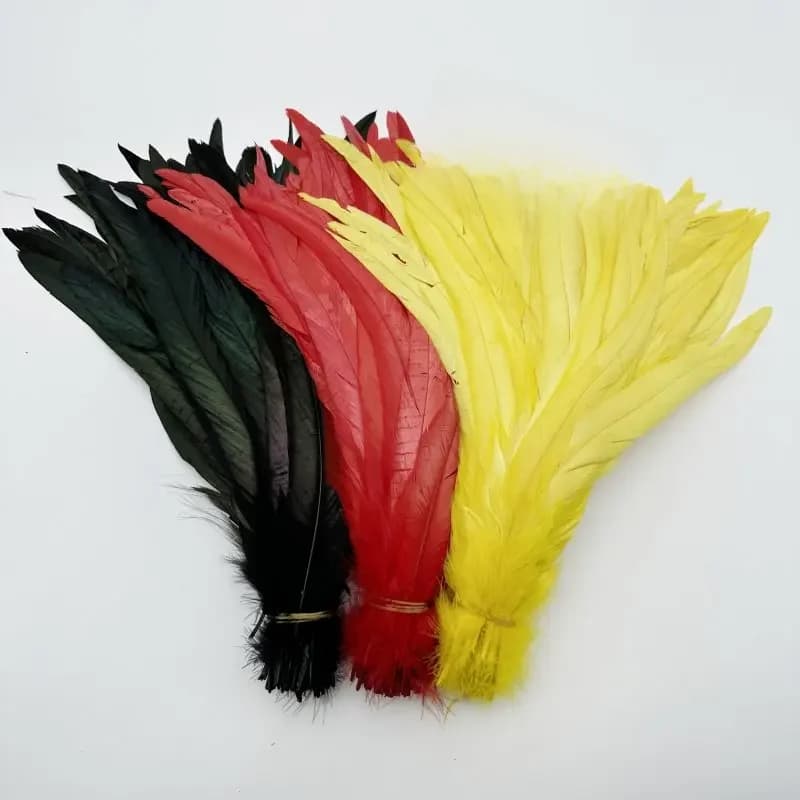 Plumes de queue de coq naturelles, panaches jaunes, noires, rouges, accessoires vestisensde coq de bricolage, fête, vente en gros, 25-45cm, 10-18
