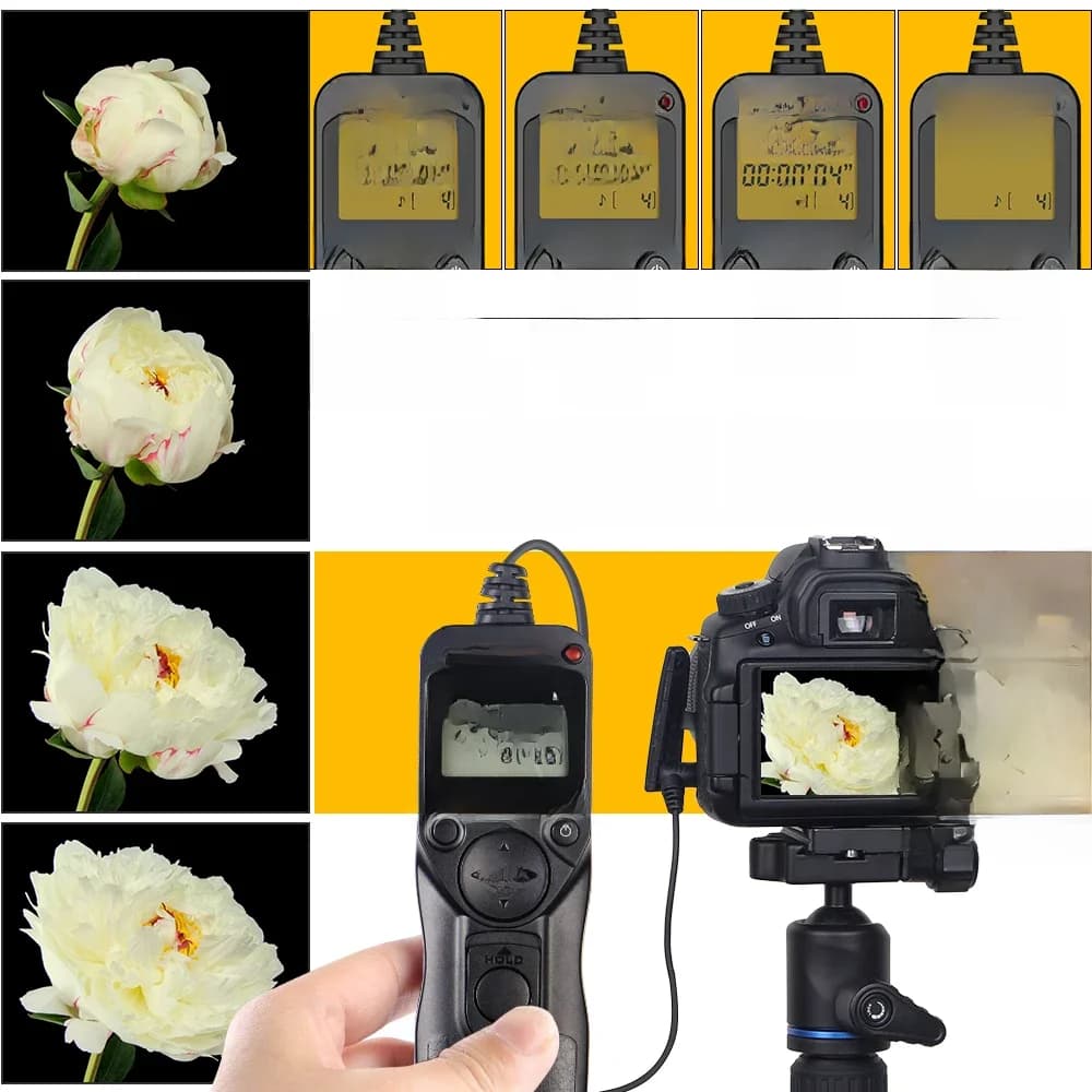 Intervalomètre pour caméra, minuterie LCD, déclencheur à distance, pour Canon, Nikon, Sony, Fujifilm, Olympus, Pentax
