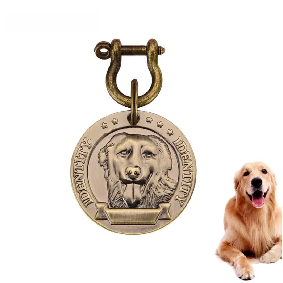 Lot de 5/10 Étiquettes d'identification personnalisables pour animaux de compagnie, gravées, pour chien et chat, en bronze, avec nom et adresse,