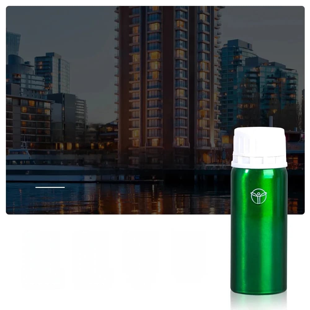 Diffuseur de parfum pour chambre d'hôtel, 100ML, désodorisant pour la maison, dispositif de parfum, purificateur d'air, humidificateur, recharge
