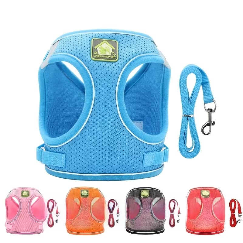 Ensemble de coulée SFP et laisse pour chien et chat, sans côtes, maille respirante