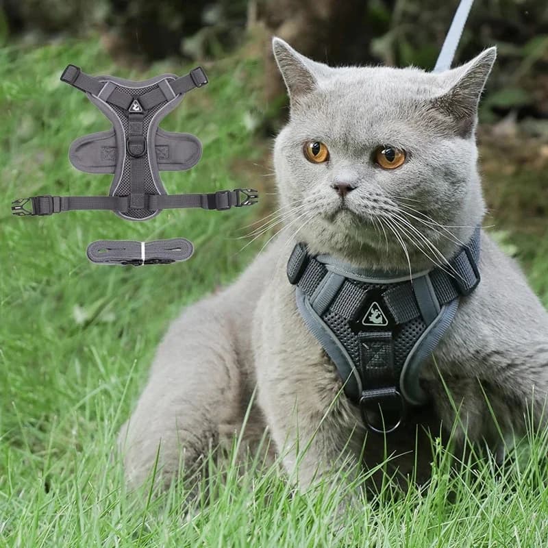 Ensemble harnais et laisse pour chien et chat de haute qualité, harnais réfléchissant pour animaux de compagnie, gilet pour chats, petits chiens,