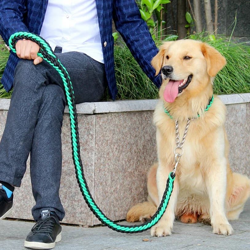 Corde à Double brin pour grands chiens, laisse en métal, boucle en chaîne P, contraste coloré, corde de Traction pour animaux de compagnie,