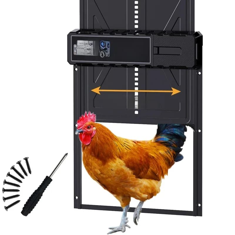Porte automatique de poulailler de grande taille, neuve avec écran LCD avec minuterie, alimentée par batterie 3 * AA (batterie non incluse)