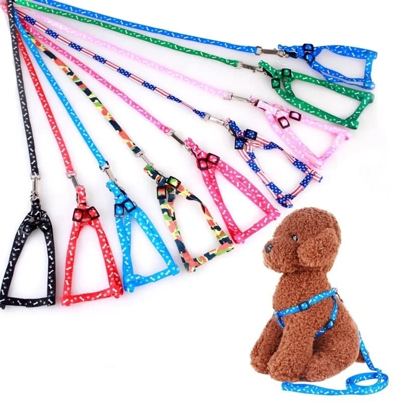 Laisse pour petit chien bon marché, laisse pour chiots, ensemble de laisse et harnais pour animaux de compagnie, ensemble de cordes en plomb