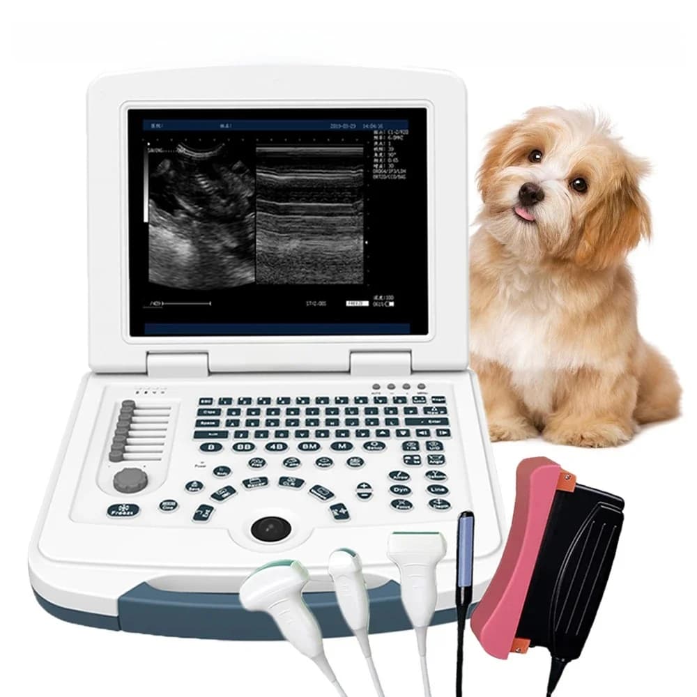 Scanner à ultrasons vétérinaire portable, ordinateur portable, vétérinaire, grossesse, machine B-Ultra, B,B + B,4B,B + M,M, vérification des