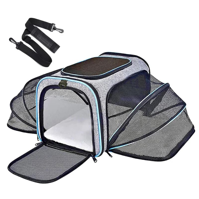 Sac de transport pour animaux de compagnie pliable petit chien Charter transportant chat sac d'extension sac pour animaux de compagnie maille
