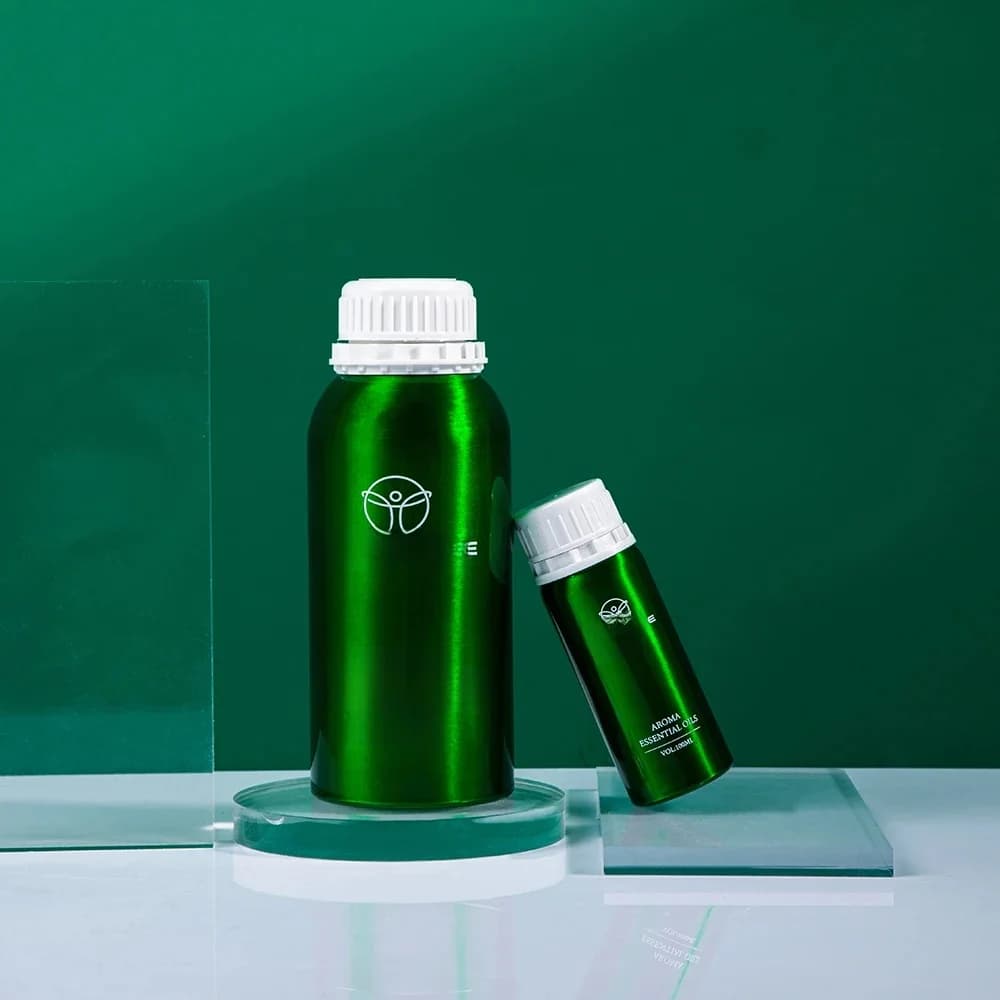 NAMSTE huile essentielle d'hôtel aromatique électrique vente diffuseur de plantes pures huiles essentielles Oasis dispositif parfumé désodorisant