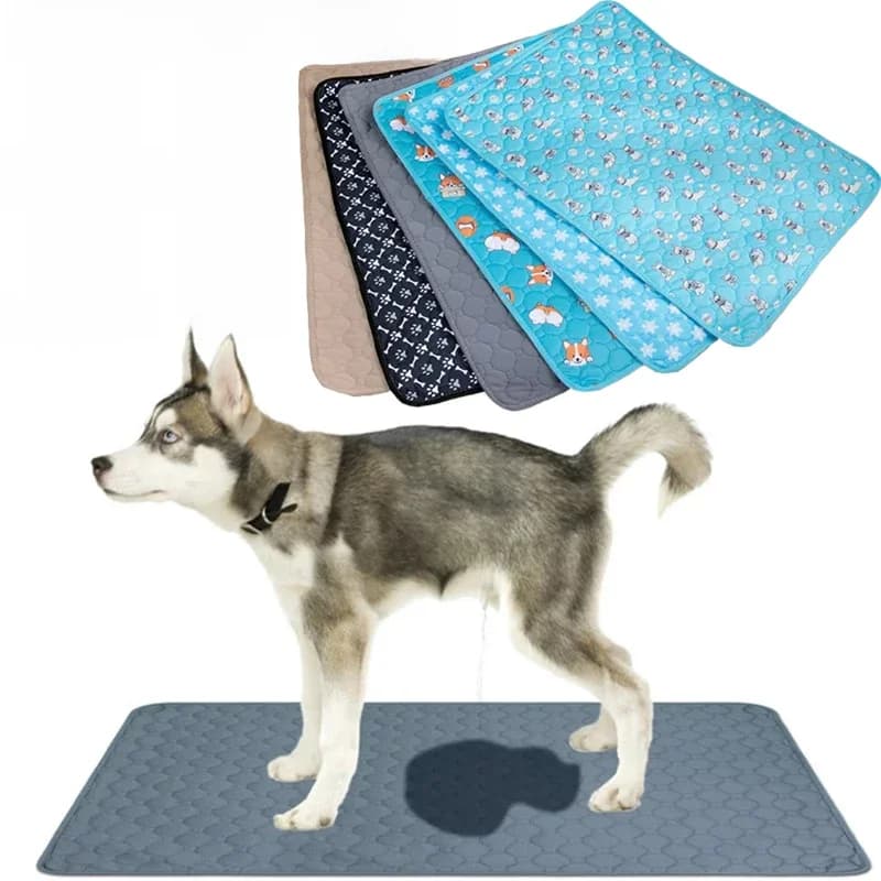 Couverture anti-urine pour chien, couche absorbante réutilisable, tapis d'apprentissage lavable pour chiot, tapis anti-urine pour animaux, couverture