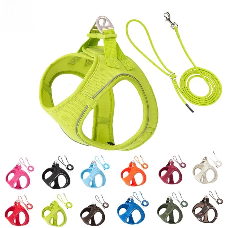 Ensemble laisse et harnais pour chien, pour petits et moyens chiens, harnais réfléchissant réglable pour chiot et chat, gilet pour animaux de