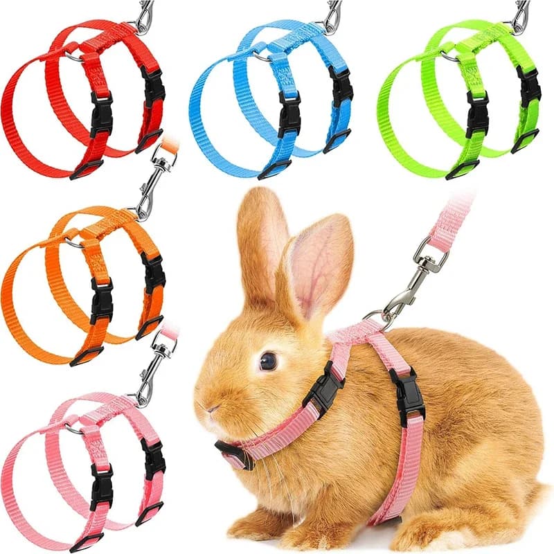 Original Ensemble harnais et laisse pour chat lapin, harnais en Nylon réglables pour lapin chaton, fournitures de marche en plein air pour animaux de
