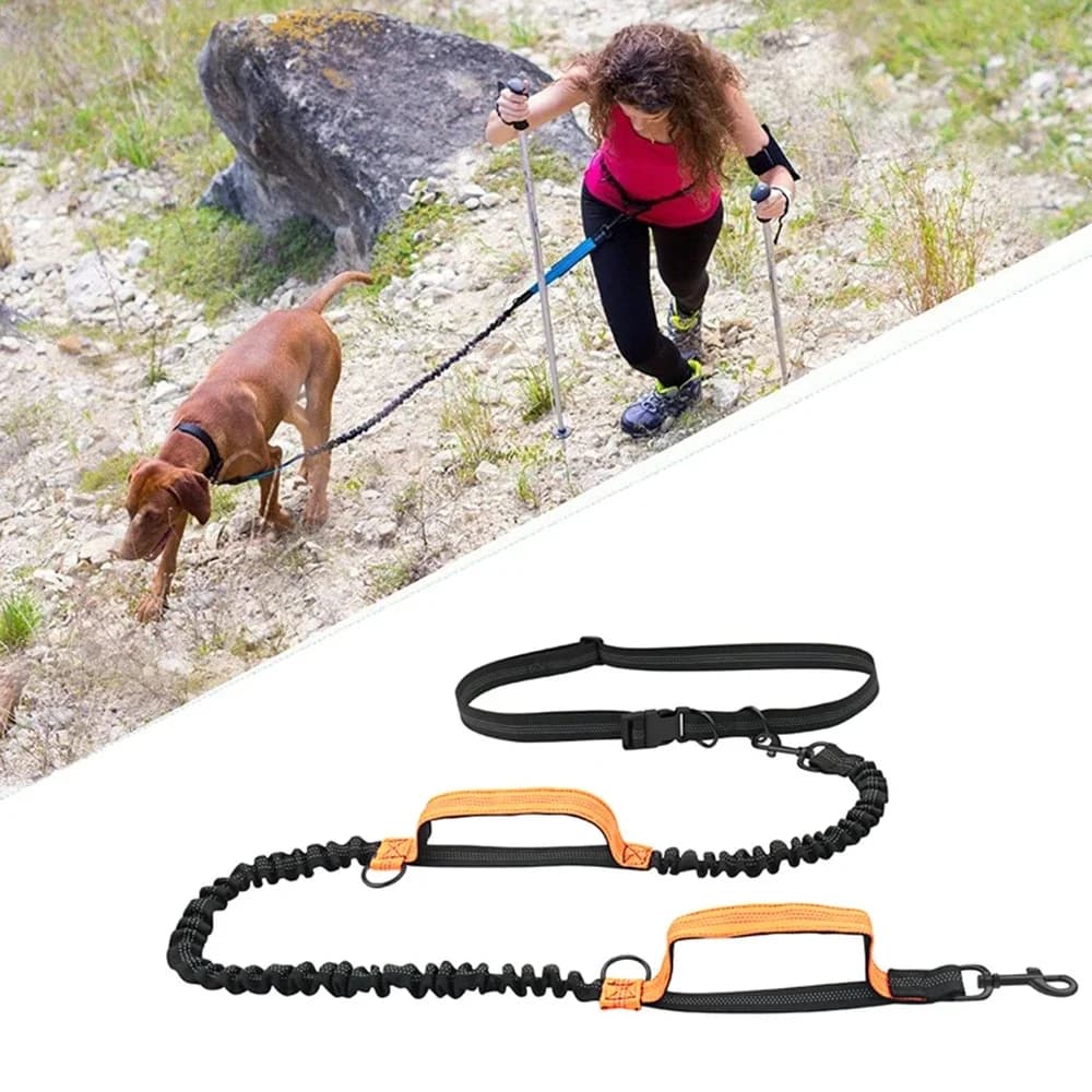 Laisse de course réfléchissante Double élastique, laisse rétractable portable pour chien, chaîne pour chien, fournitures pour animaux de
