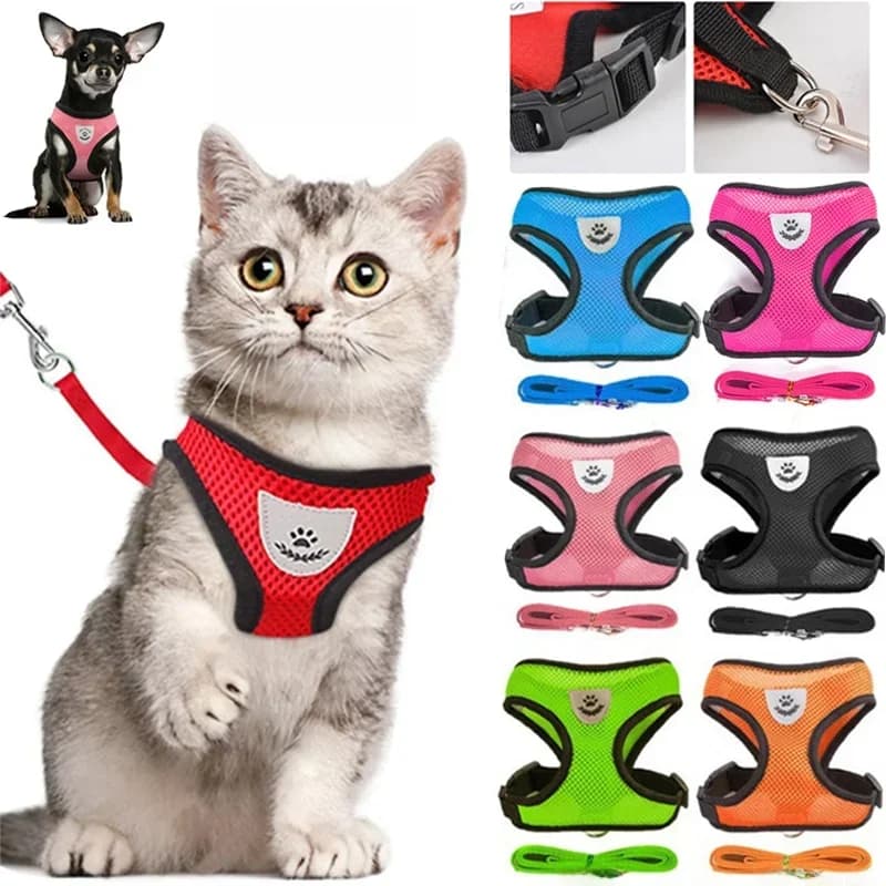 Harnais pour chien et chat avec laisse en plomb, gilet réglable en maille de Polyester, harnais respirant, sti réfléchissant pour petit chien,