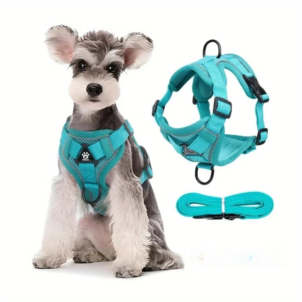 Ensemble harnais et laisse pour chien sans traction, gilet réglable pour animaux de compagnie, pour petits chiens et chats, sangle de poitrine