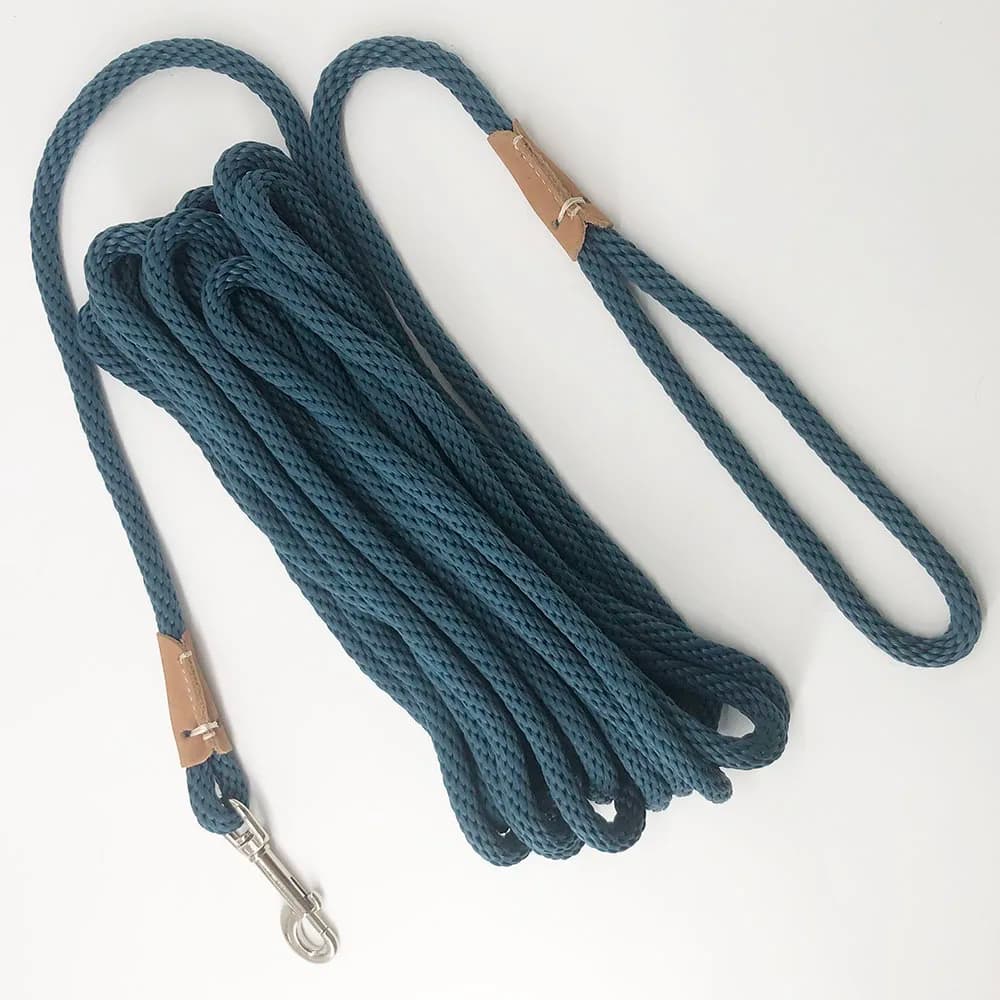 2m 3m 5m 10m chien plomb longue laisse d'entraînement pour chien ligne de suivi robuste chiot corde plomb pour petits moyens grands chiens