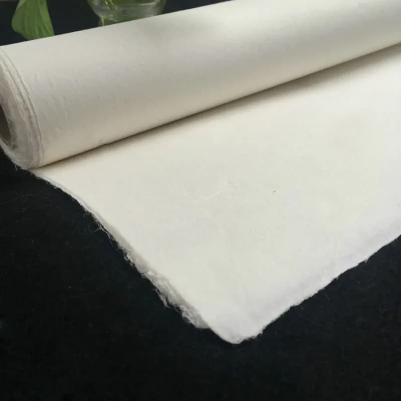 Papier de riz de peinture chinoise, papier à dessin de calligraphie, fibre à moitié mûre faite à la main, papier Xuan, papier de mûrier Yunlong