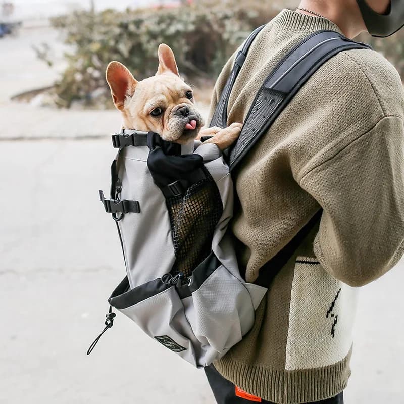 Sac à dos de voyage en plein air pour chiot, moyen chien, pour petits chiens, respirant, marche, bouledogue français, sacs de transport,