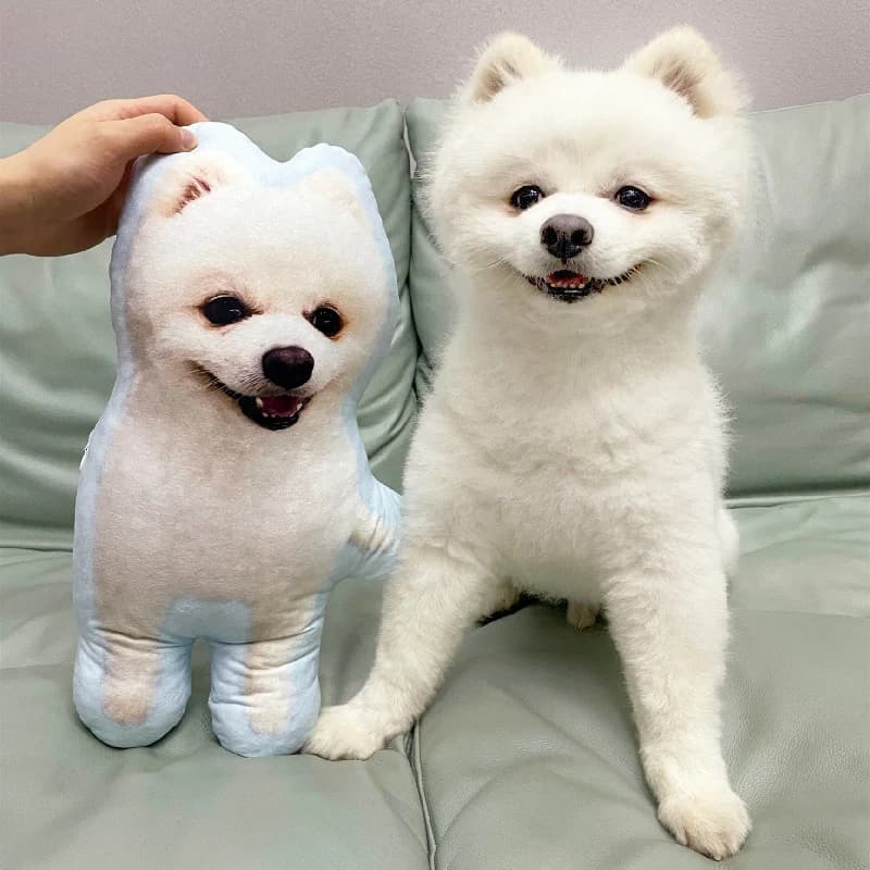 Coussin personnalisé pour animaux de compagnie avec photo DIY, oreiller en peluche, coussin personnalisé avec photo de chien ou de chat, cadeau pour
