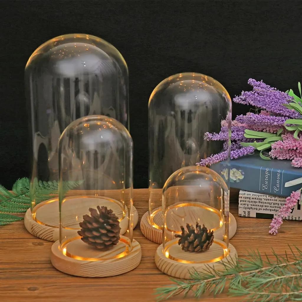 Présentoir en Verre avec Base en Bois, Lumière LED, La Bête, Rose Rouge, Cadeaux d'Anniversaire, Décoration de Table de Chambre à Coucher de