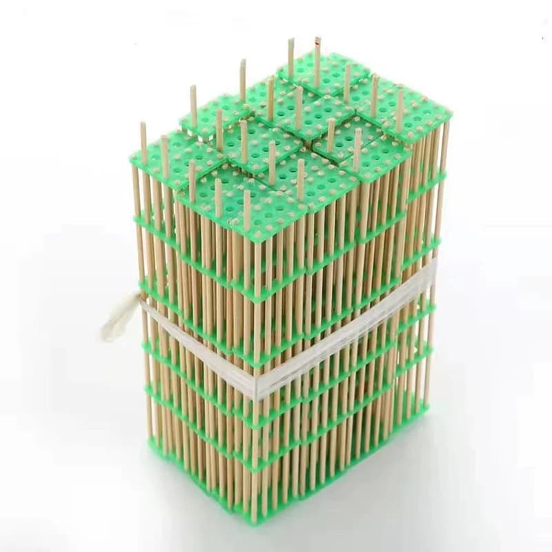 Cage de Transport d'isolation des abeilles en bambou, 20 pièces, ruche des abeilles, reine des abeilles, outils d'apiculture, équipement pour
