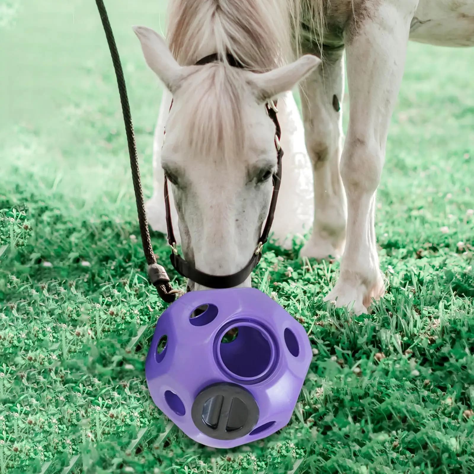 Balle d'Alimentation Polyvalente pour Cheval, Jouet de Rajeunissement, Amusant, 15/7
