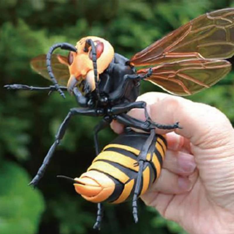 Wandai-Authentique producteur de guêpes et têtes de tigre, modèle animal mobile à poser