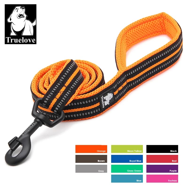 TruelGru- Laisse souple en maille de nylon coulée pour animal de compagnie, accessoire rembourré pour chiot, grand chien ou chat, entraînement à