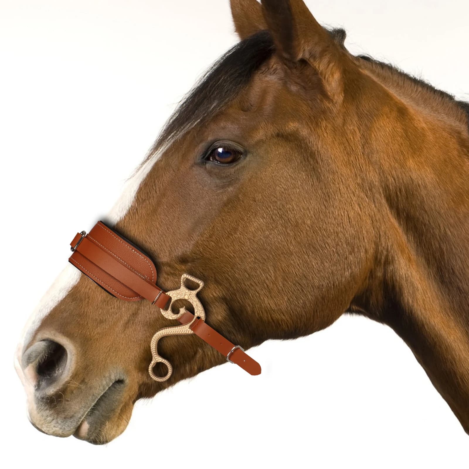 Hackamore Horse Bit Marron Bridle Cuir Rembourré Anglais Occidental Réglable Nez Curb Chaîne Équipement d'équitation équestre