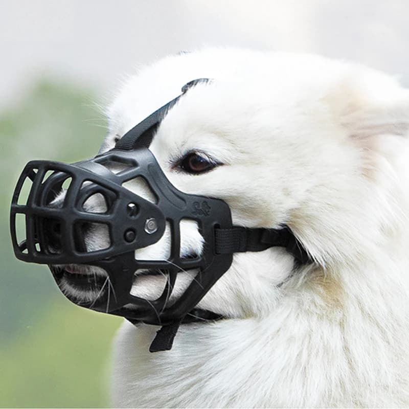 Protège-bouche pour chien anti-morsure, pour petits et grands chiens, couvre-mâchoires en colle souple, anti-aboiement, dispositif de retenue