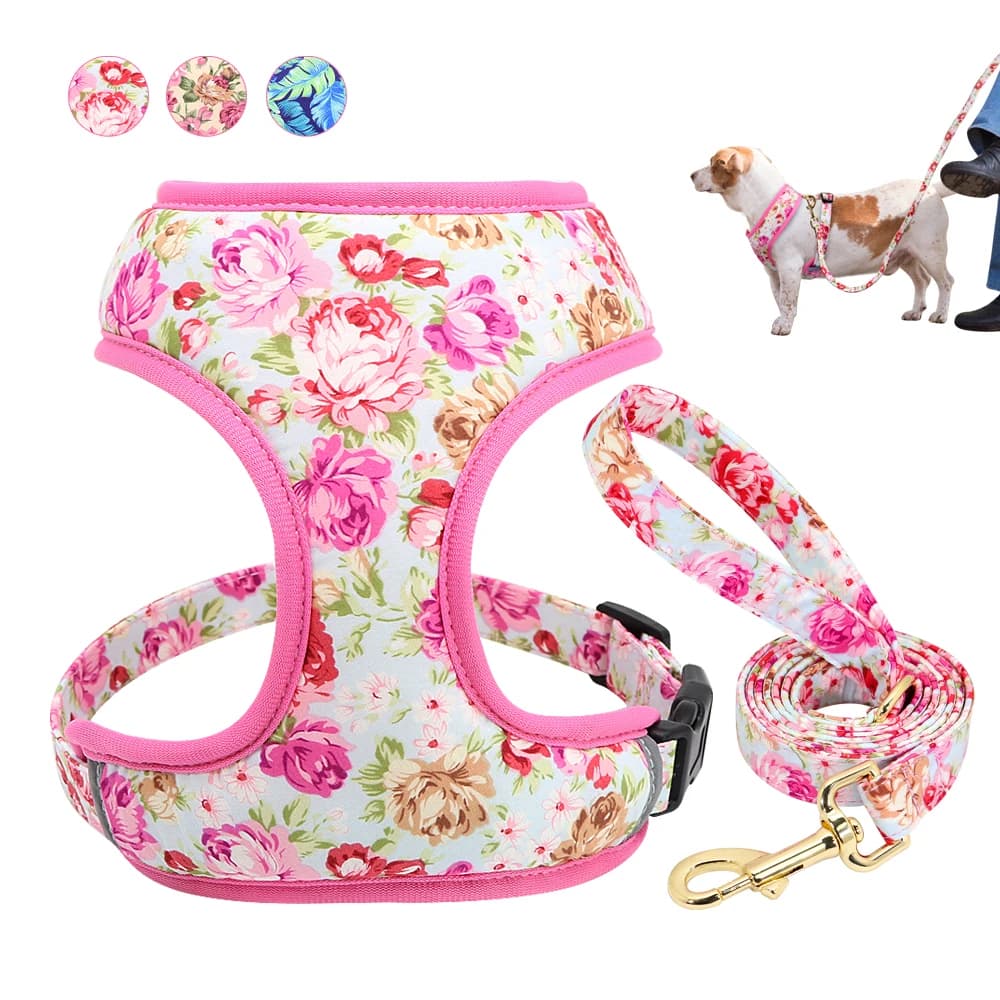 Ensemble de laisse SFP en maille souple pour animaux de compagnie, laisse de marche réglable pour petits et moyens chiens, chats, chihuahua, chiot,