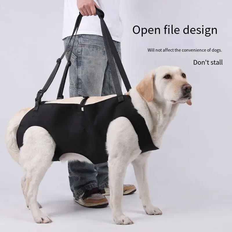 Nouveau harnais de soutien pour chien, écharpe de rééducation réglable, gilet d'aide à la mobilité pour animaux de compagnie handicapés âgés