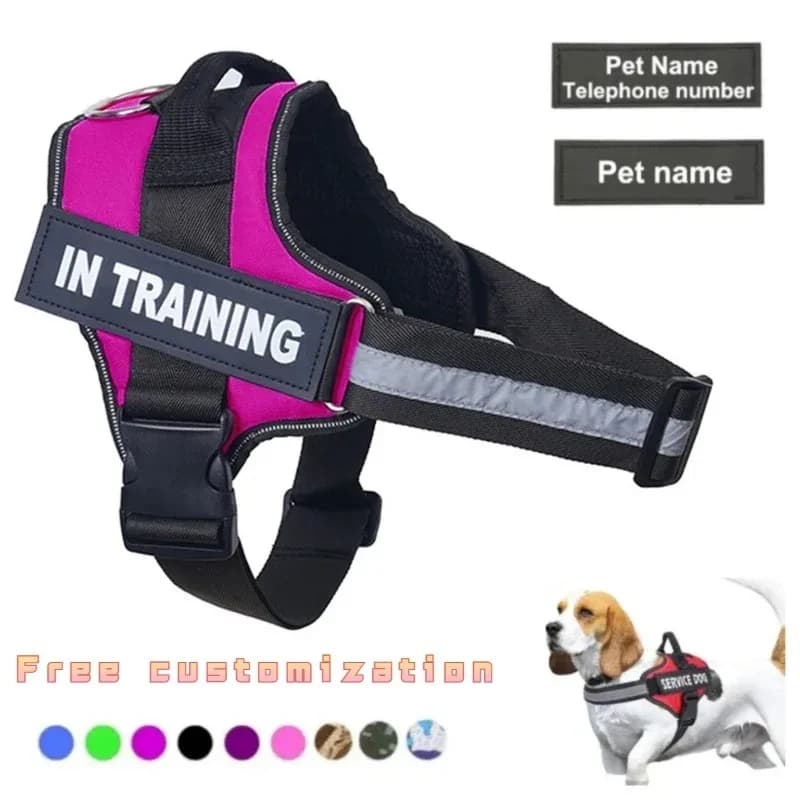 Chien personnalisé SFP Casting réglable sans nervure pour animaux de compagnie, glaçure pour petits, moyens et grands chiens, harnais en gros