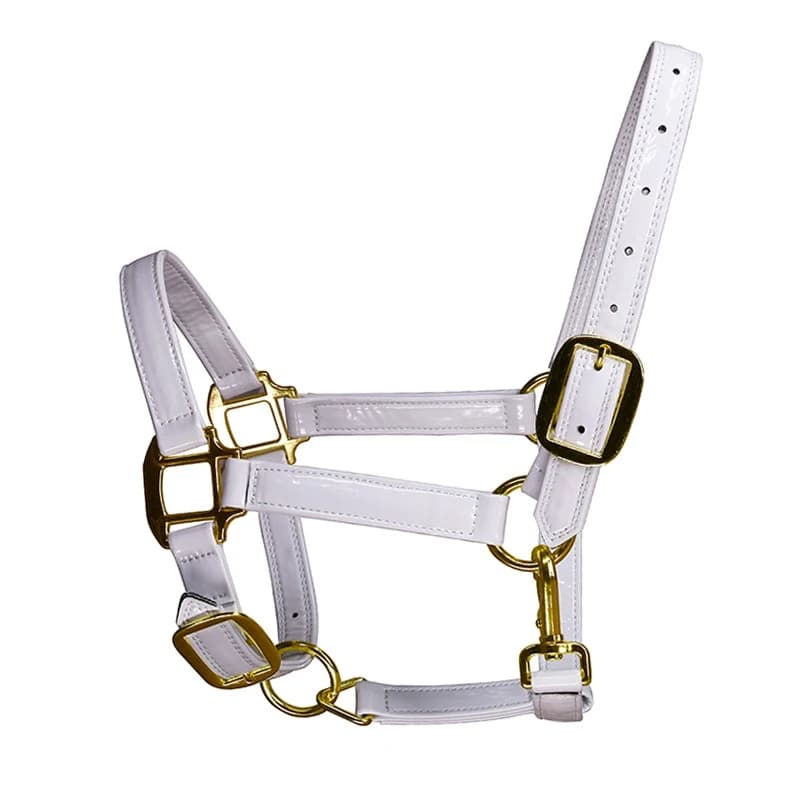 Licou cheval réglable en cuir microcarence, équipement équestre, bride cheval, collier de tête, sangle de cheval, protection stable, nouveau