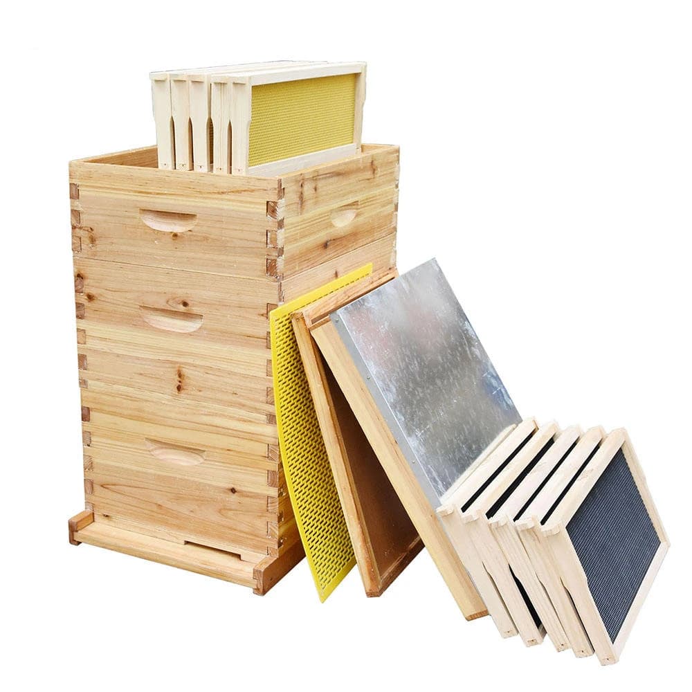 Le ruche pour abeilles Langstroth à 10 cadres recouverte de cire d'abeille comprend des cadres de ruche et un kit de démarrage pour apiculture