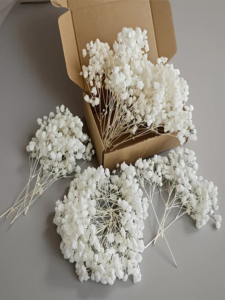 Lot de 50 mini-bouquets de fleurs séchées Gypsophile blanches, petits lots de Gypsophila en vrac pour loisirs créatifs, invitations, fabrication de
