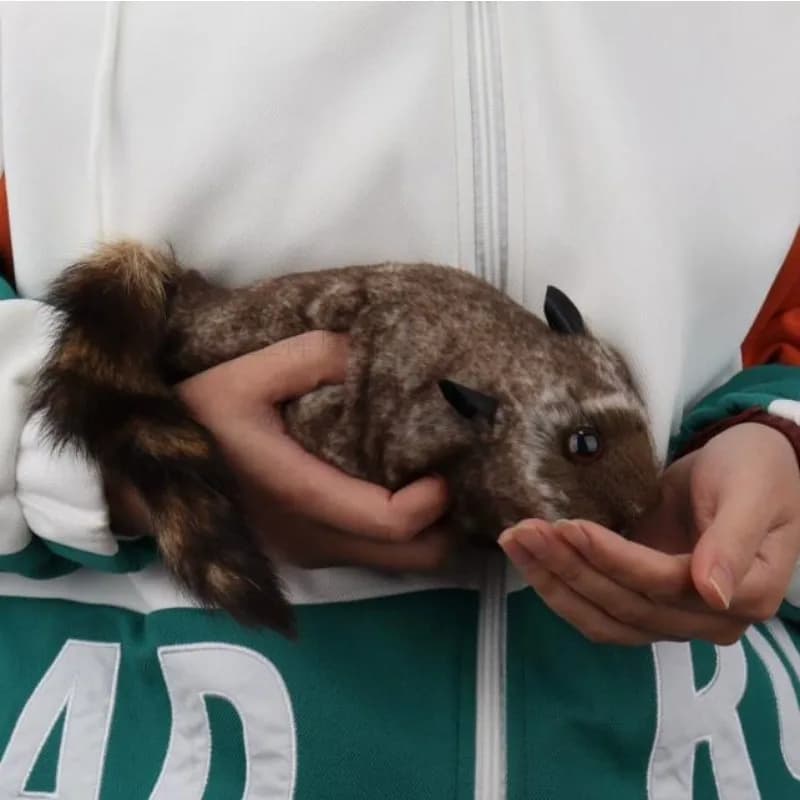 Le raton laveur rocheux Robbie magique raton laveur tours accessoires comédie mentalisme Gimmick printemps Animal apparaissant scène magique drôle