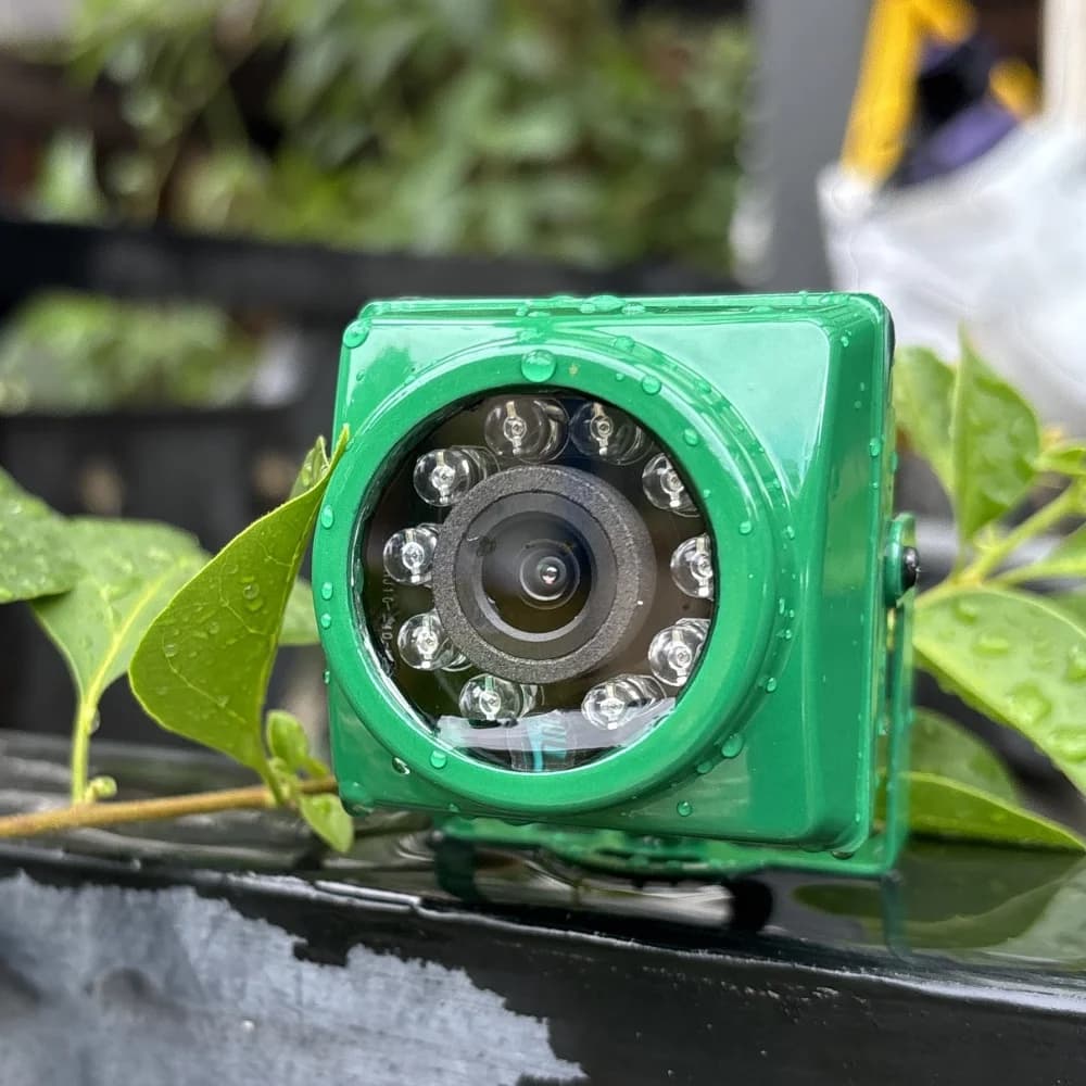 Mini caméra de sécurité 5MP sans fil extérieure IR CUT 940nm LED WiFi détection humaine IP65 étanche cage à oiseaux chambre d'animaux caméra