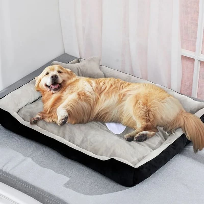 Lit d'hiver pour grands chiens, maison chaude en polaire pour animaux de compagnie XXS à XXL pour petits, moyens et grands chiens, Golden Retriever