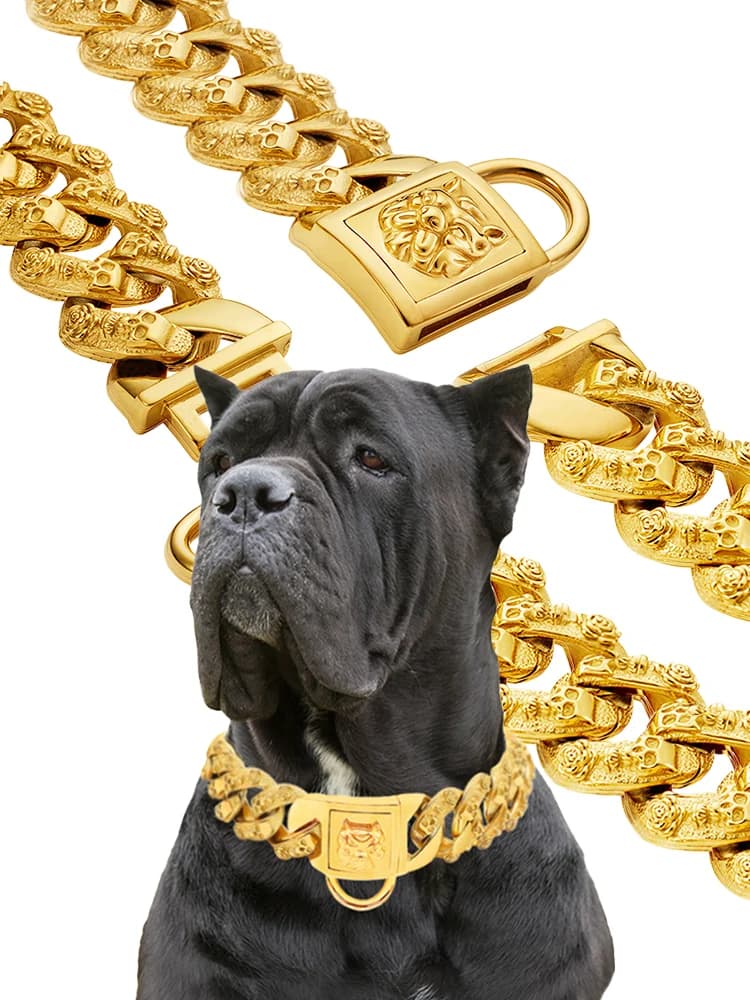 Collier en métal pour grand chien, ras du cou pour animaux de compagnie, or et argent, chaîne en acier inoxydable de 32mm, accessoires individuels