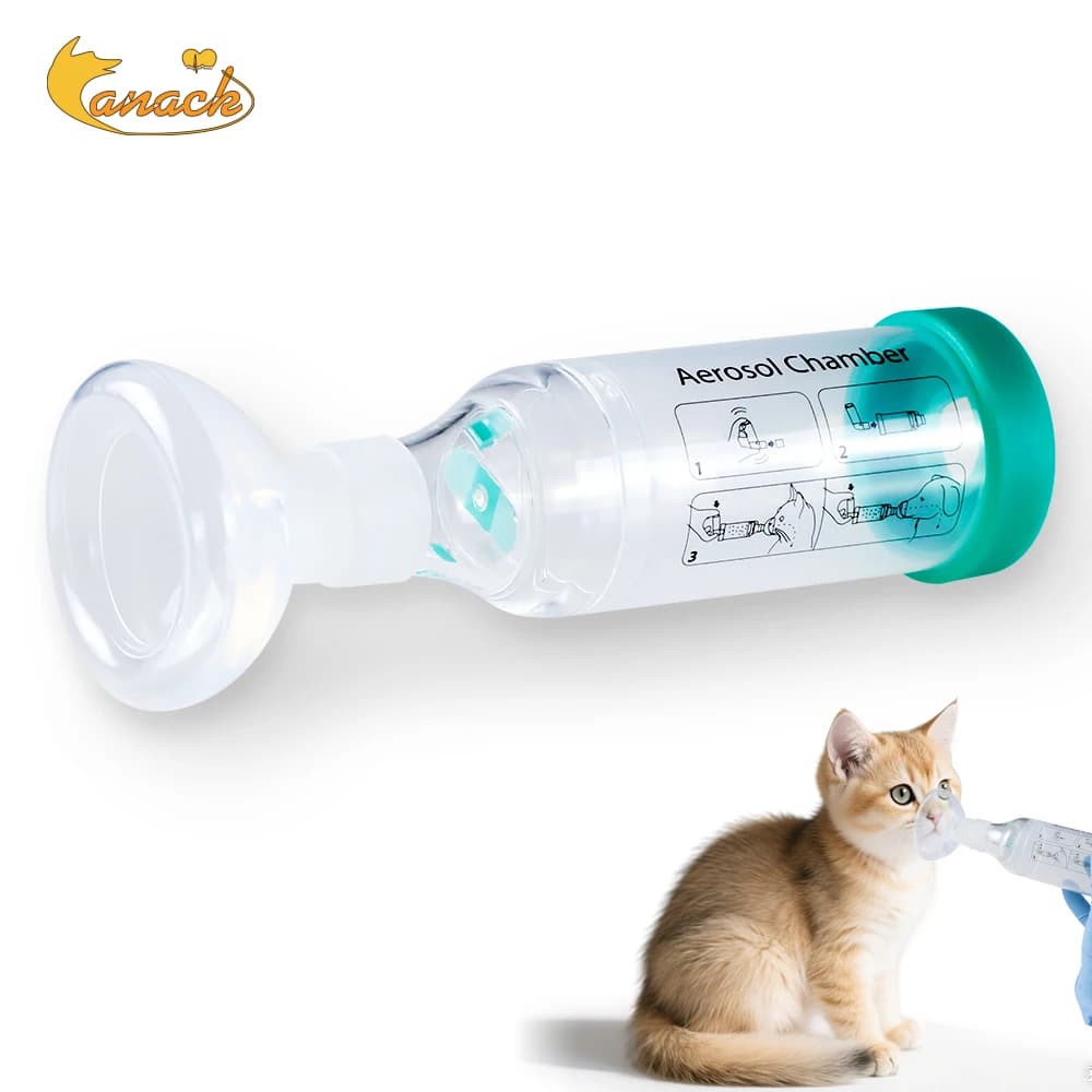 Chambre d'aérosol pour chat, inhalateur Portable pour chien, entretoise avec indicateur respiratoire, masque en Silicone pour équipement