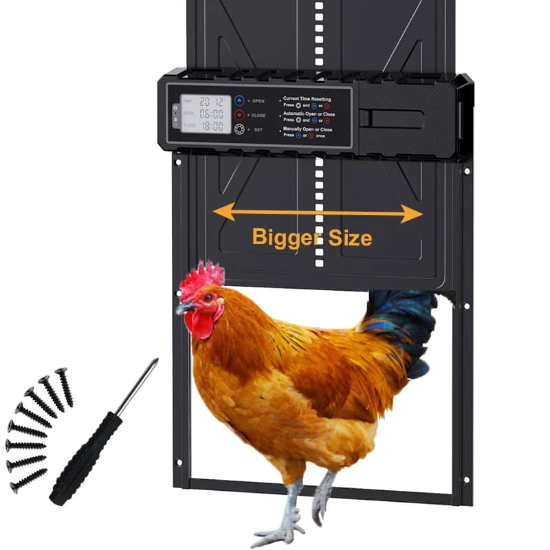 Porte automatique de poulailler de grande taille, neuve avec écran LCD avec minuterie, alimentée par batterie 3 * AA (batterie non incluse)