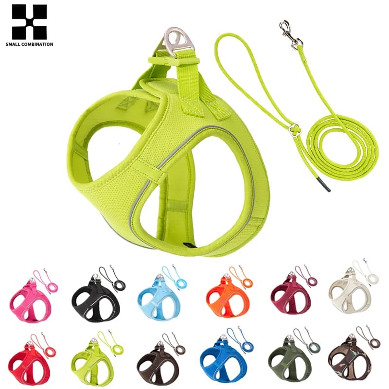Ensemble de laisse harnais pour chien, pour petit et moyen chien, harnais réfléchissant réglable pour chiot et chat, gilet pour animaux de