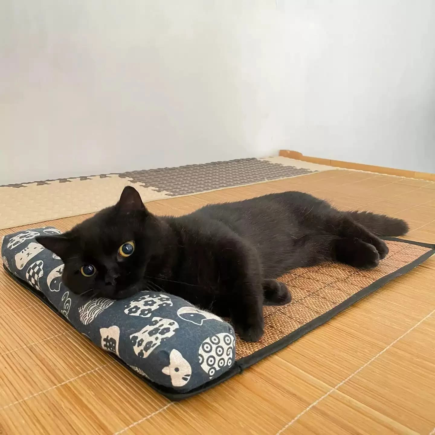 Tapis de refroidissement naturel pour chat, tapis d'été auto-refroidissant pour animaux de compagnie, tapis de lit pour chat pour chiens, tapis