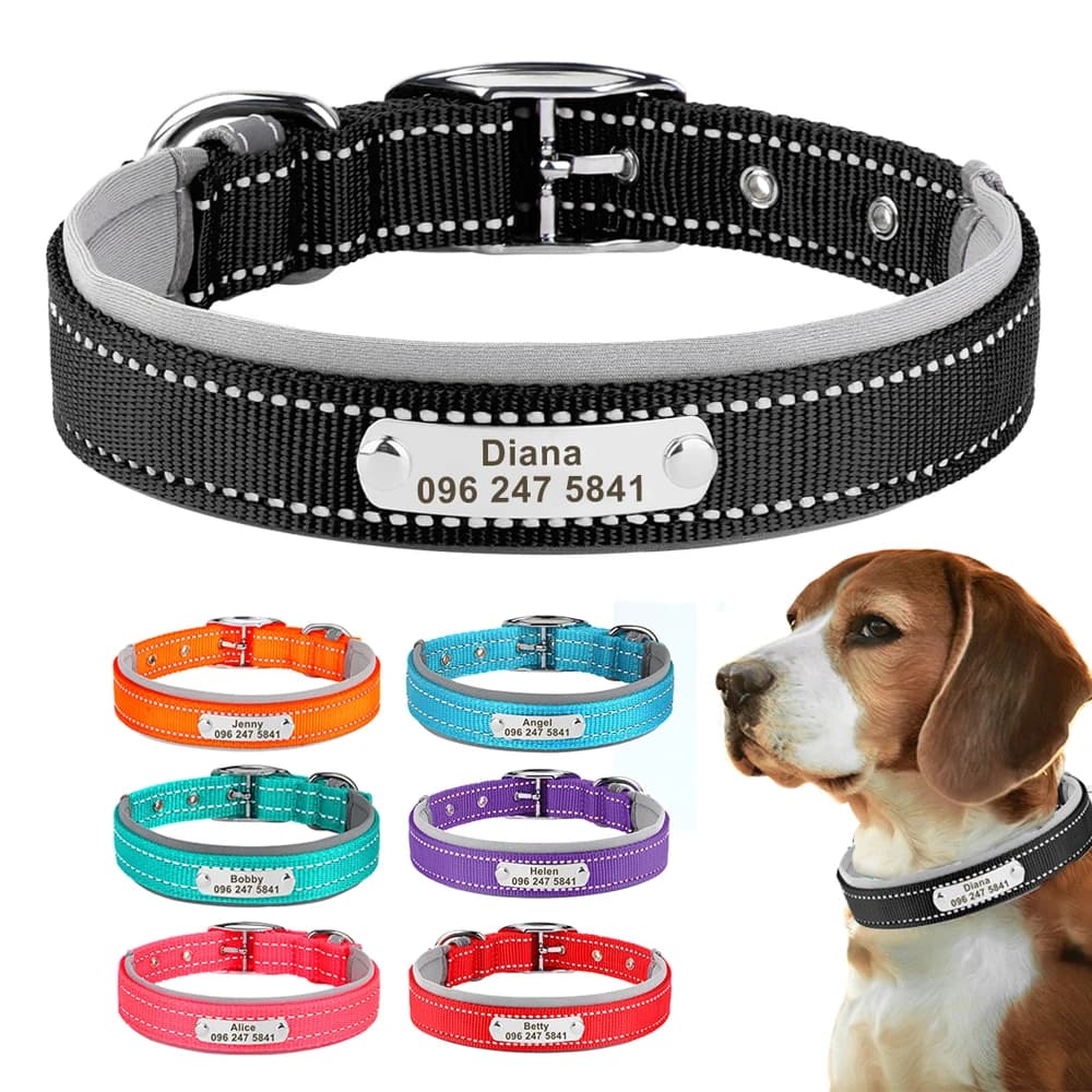 Collier de chien en nylon réfléchissant collier pour animaux de compagnie personnalisé étiquette d'identification anti-perte colliers de nom de
