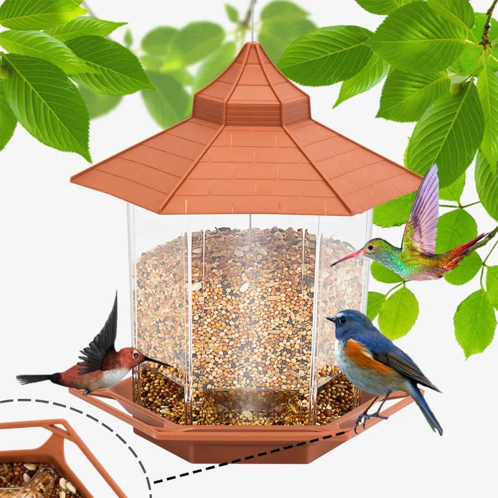 Mangeoire automatique pour oiseaux avec plusieurs trous, belvédère extérieur, maison d'alimentation pour noix, conteneur de nourriture pour