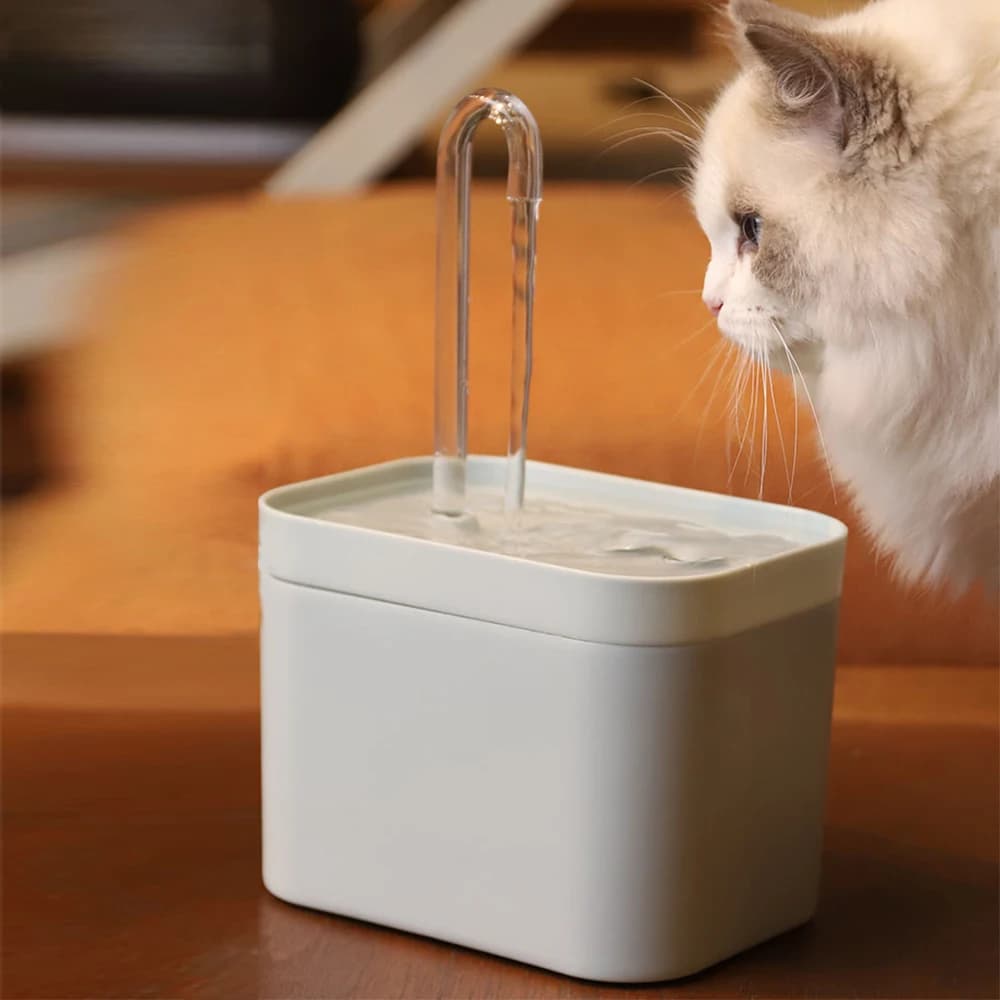 Fontaine d'eau Ultra silencieuse pour animaux de compagnie, filtre automatique, distributeur d'eau électrique pour chien et chat, pompe de