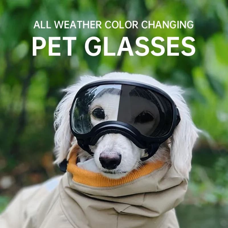 Lunettes pour animaux de compagnie à changement de couleur, lunettes de protection pour chiens, lunettes de soleil pour chiens de toutes tailles,