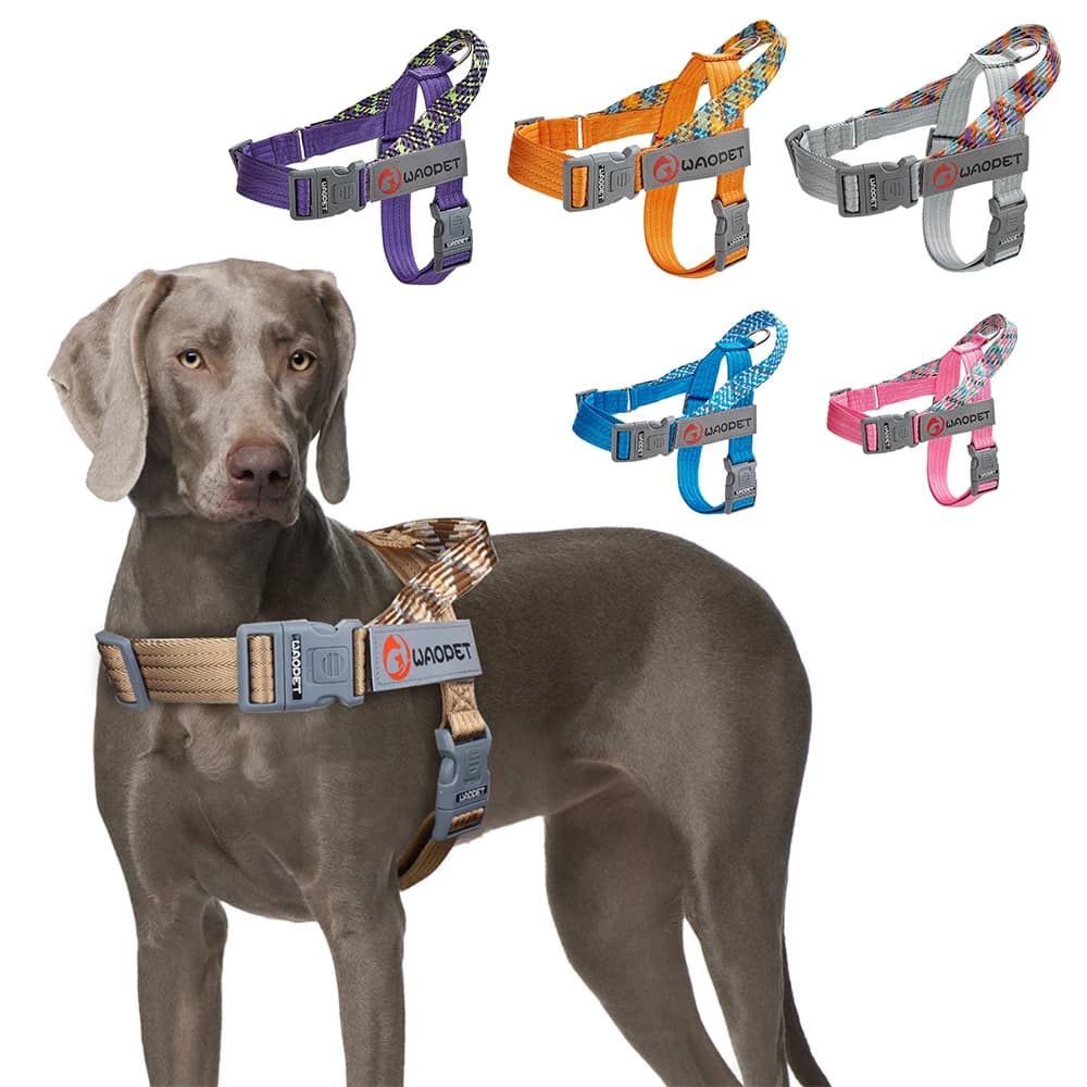 Harnais de poitrine pour animaux de compagnie, à la mode, pour chiens de marche moyens et grands, Portable, nouveau Design, harnais de poitrine de