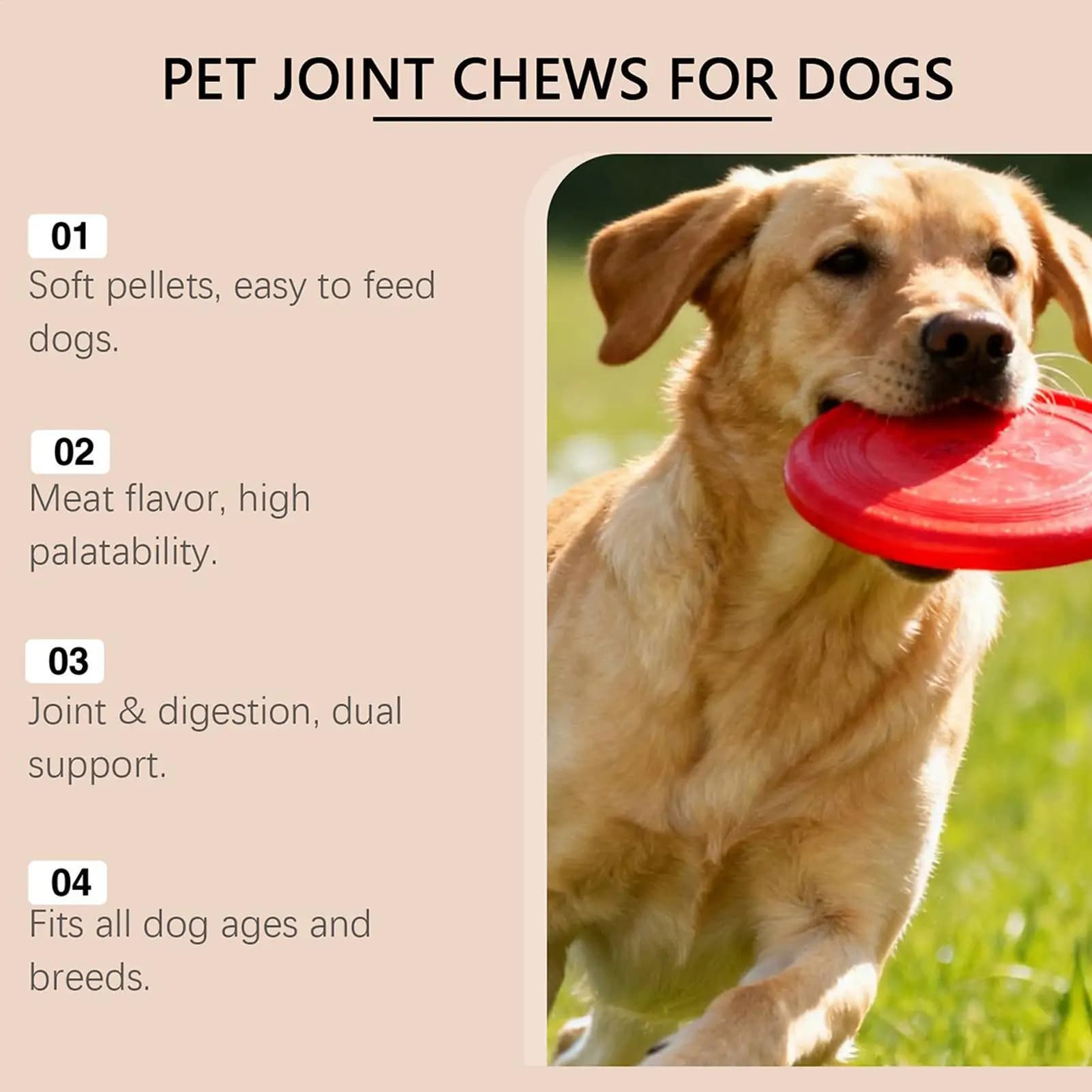 Complément de hanche et d'articulation pour chiens, pilule à croquer, Nutrient, 100 pièces, Support articulaire pour chiens, pour la maison, les